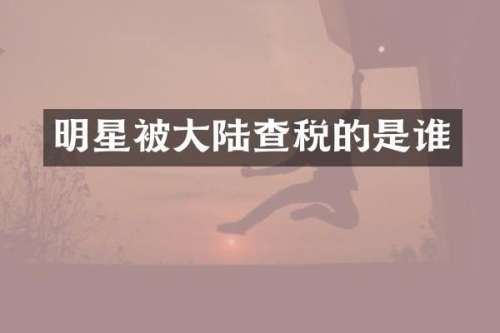 明星被大陆查税的是谁