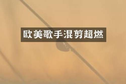 欧美歌手混剪超燃