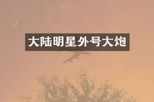 大陆明星外号大炮