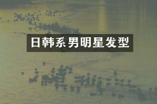 日韩系男明星发型