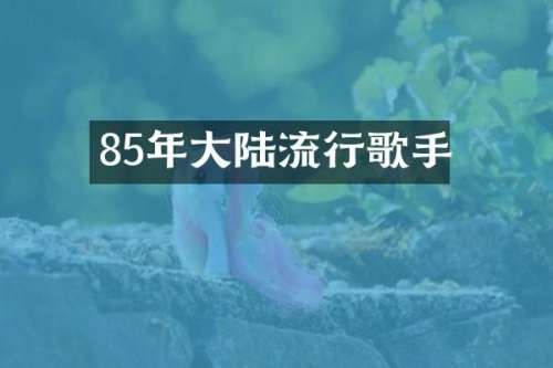 85年大陆流行歌手