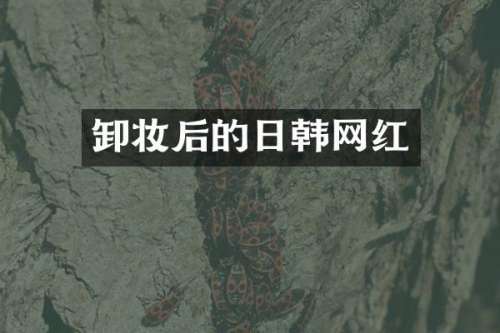 卸妆后的日韩网红