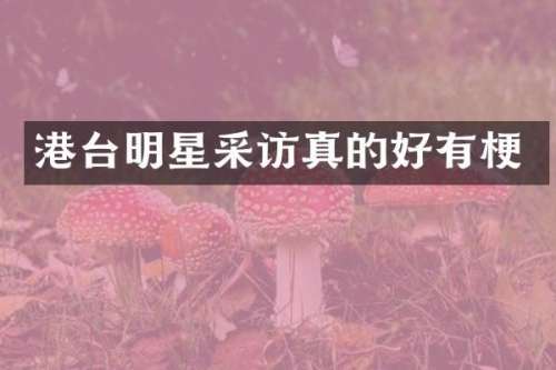 港台明星采访真的好