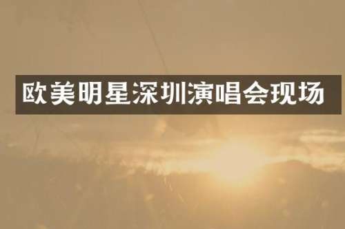 欧美明星深圳演唱会现场