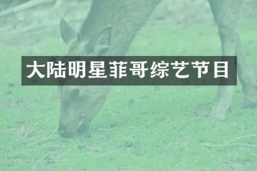 大陆明星菲哥综艺节目
