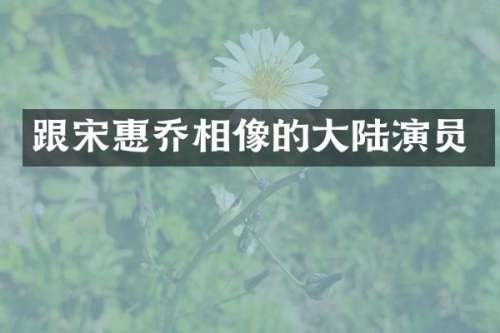 跟宋惠乔相像的大陆演员
