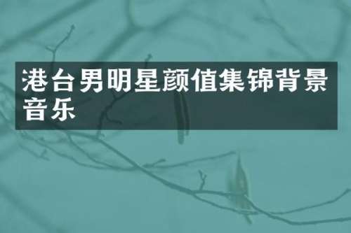港台男明星颜值集锦背景音乐
