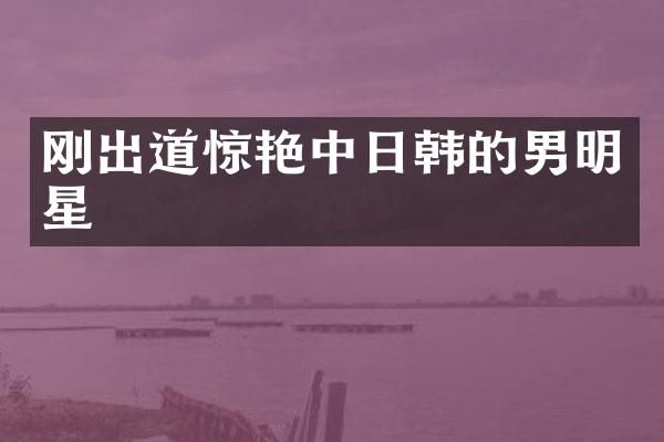 刚出道惊艳中日韩的男明星