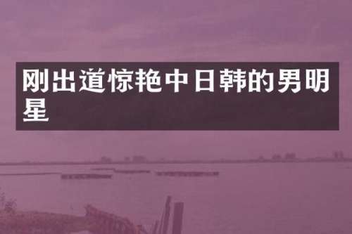 刚出道惊艳中日韩的男明星