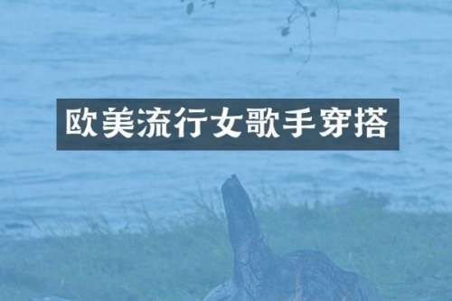 欧美流行女歌手穿搭