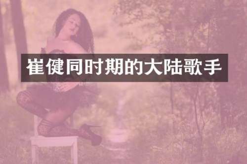 崔健同时期的大陆歌手