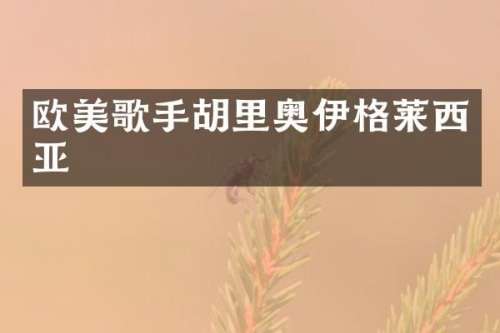 欧美歌手胡里奥伊格莱西亚