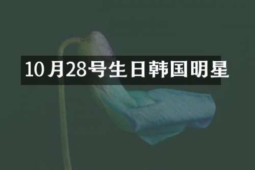 10月28号生日韩国明星