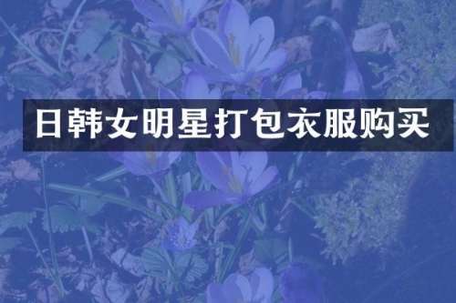 日韩女明星打包衣服购买