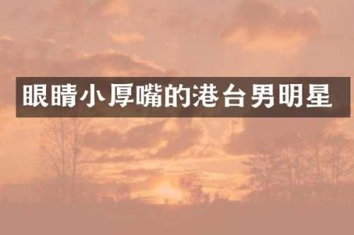 眼睛小厚嘴的港台男明星