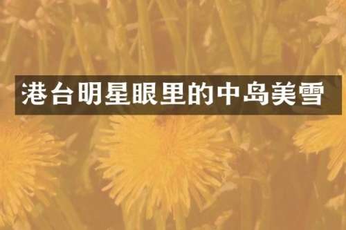 港台明星眼里的中岛美雪