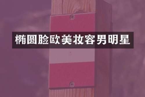 椭圆脸欧美妆容男明星