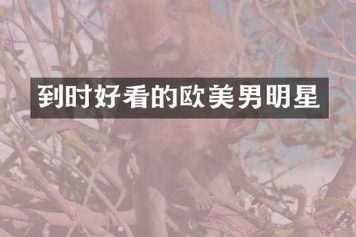 到时好看的欧美男明星