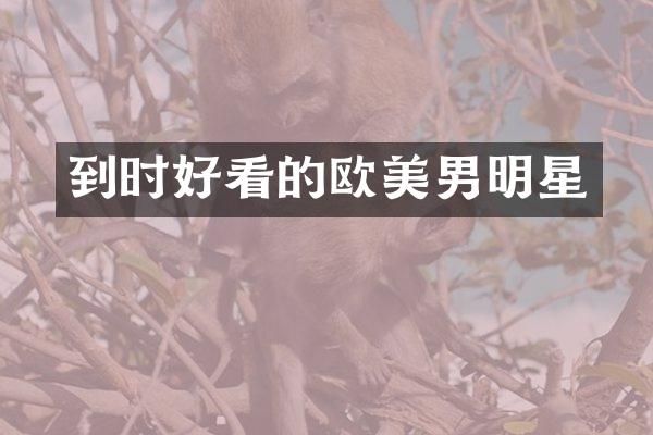 到时好看的欧美男明星