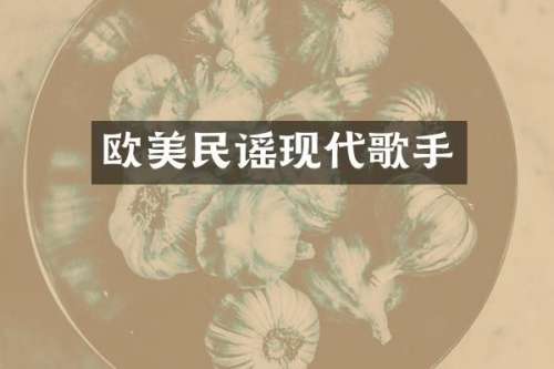 欧美民谣现代歌手