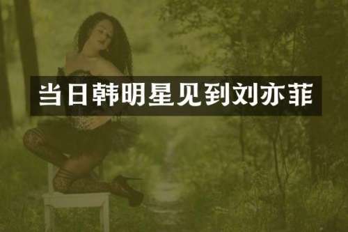 当日韩明星见到刘亦菲