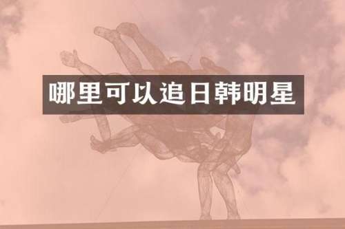 哪里可以追日韩明星