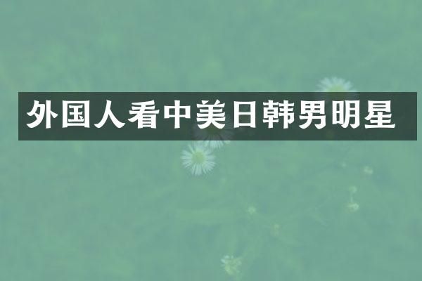 外国人看中美日韩男明星