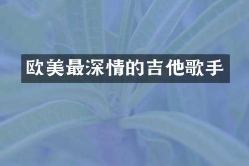 欧美最深情的吉他歌手