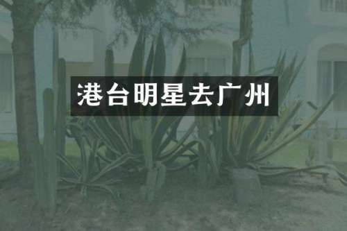 港台明星去广州