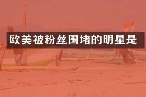 欧美被粉丝围堵的明星是