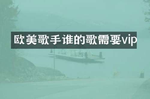 欧美歌手谁的歌需要vip