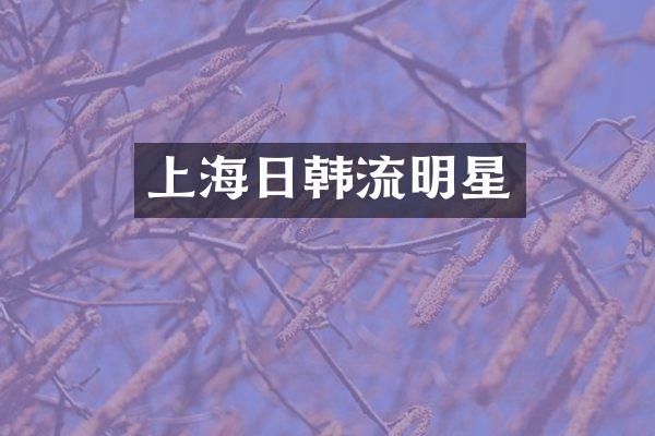 上海日韩流明星