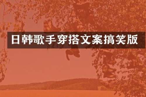 日韩歌手穿搭文案搞笑版