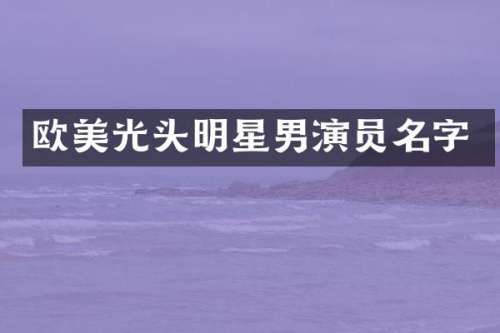 欧美光头明星男演员名字