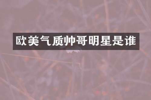 欧美气质帅哥明星是谁