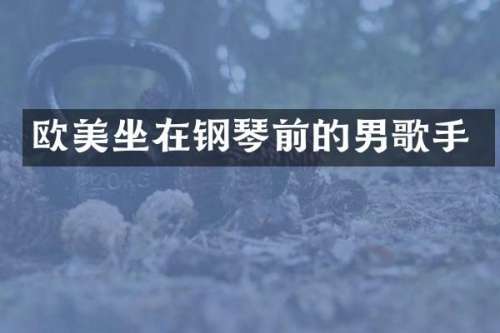 欧美坐在钢琴前的男歌手