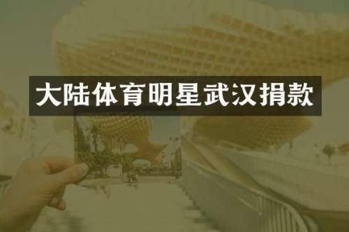 大陆体育明星武汉捐款