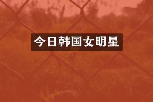 今日韩国女明星
