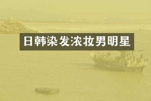 日韩染发浓妆男明星