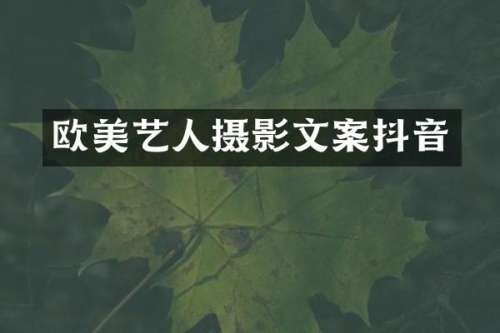 欧美艺人摄影文案抖音