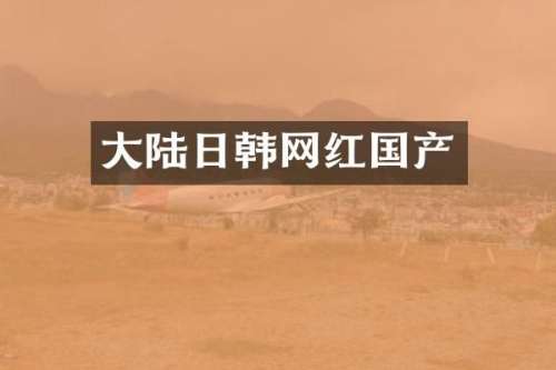 大陆日韩网红国产
