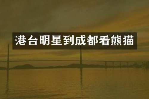 港台明星到成都看熊猫