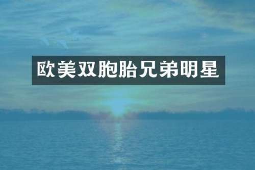 欧美双胞胎兄弟明星