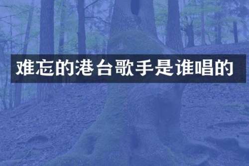 难忘的港台歌手是谁唱的
