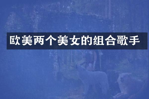 欧美两个的组合歌手