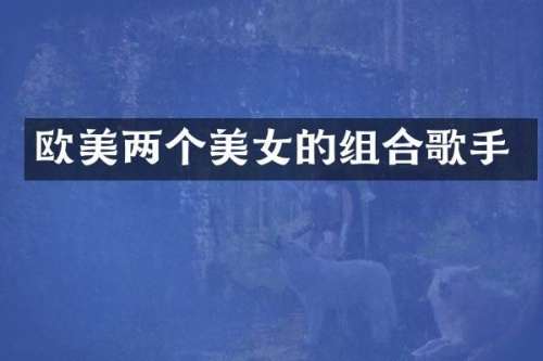 欧美两个的组合歌手