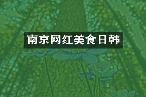 南京网红美食日韩