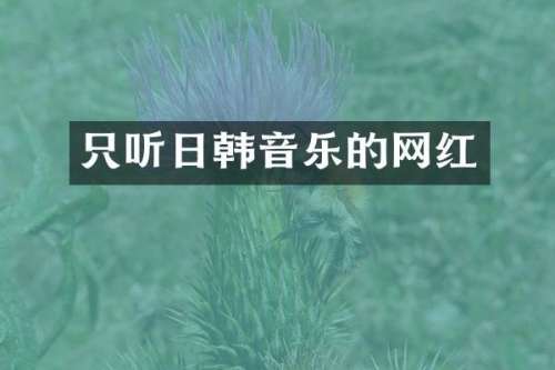 只听日韩音乐的网红