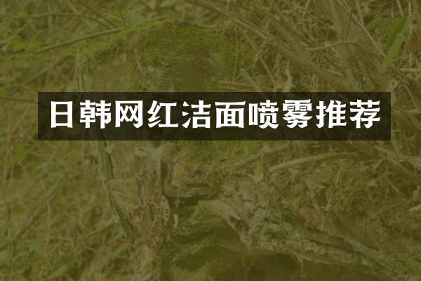 日韩网红洁面喷雾推荐
