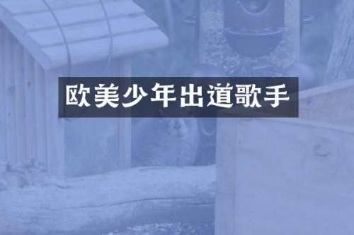 欧美少年出道歌手